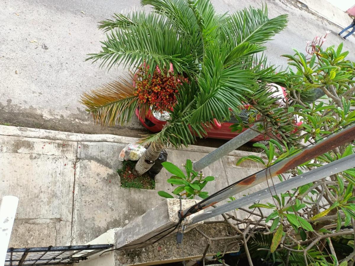 Colibri Apartment Playa del Carmen Luaran gambar